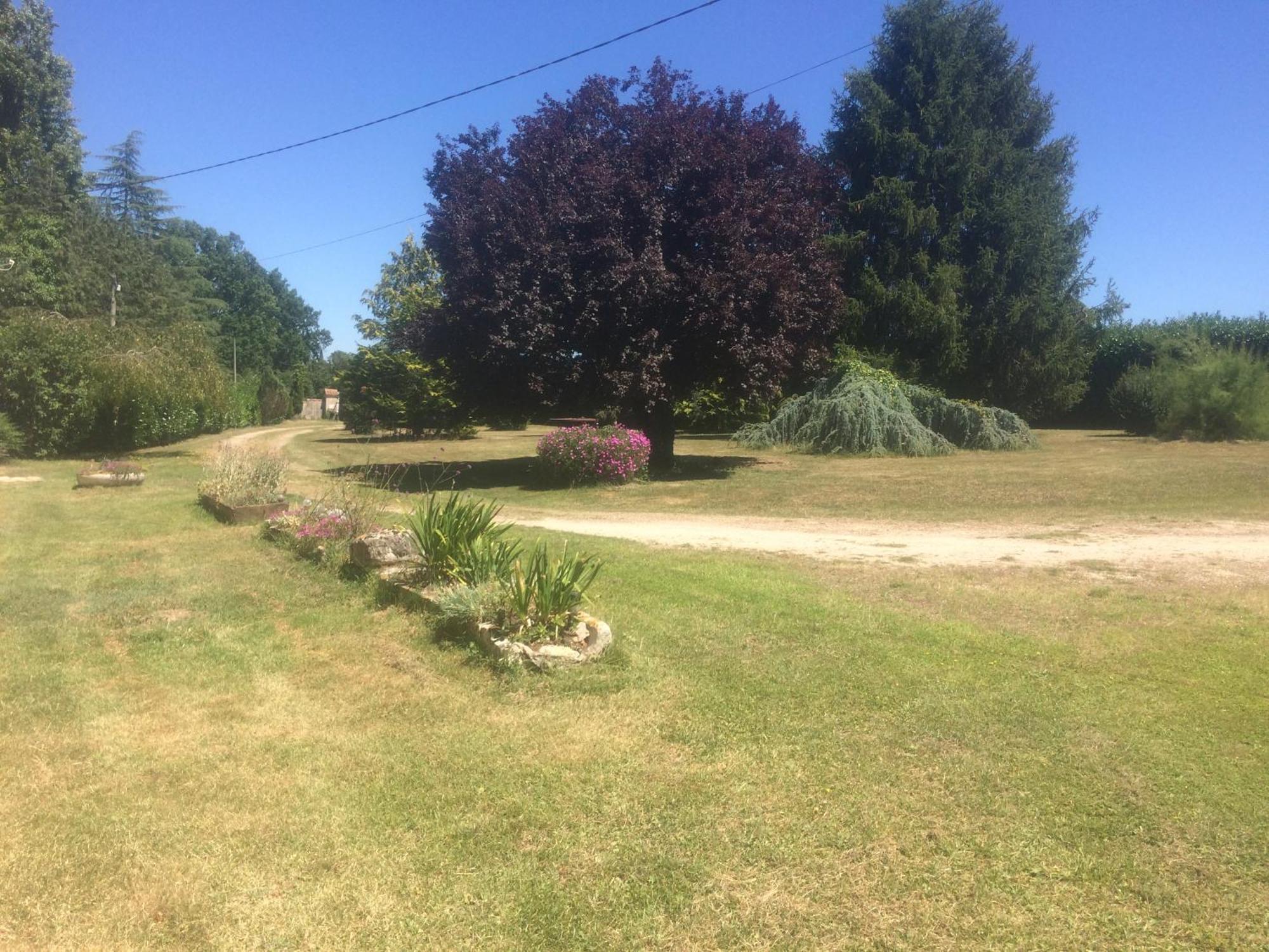 Charroux  Le Bois D'Amour Gite Et Chambres מראה חיצוני תמונה